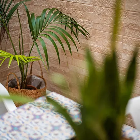 Dream Отранто